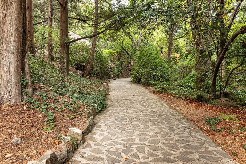 Stone Walkway Repair in Kerrville, TX