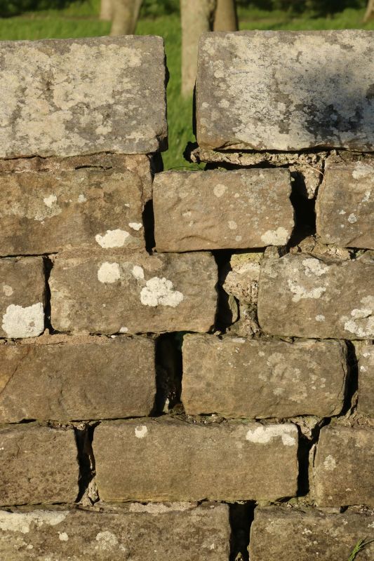 Stone Wall Repair in Center Point, TX